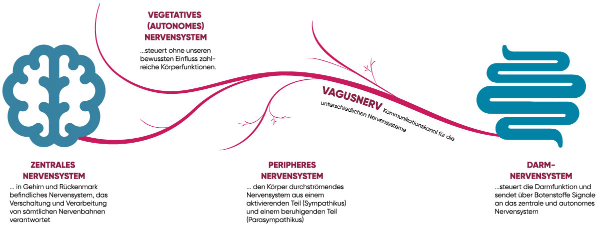  Reizdarm: Ursachen im Überblick - Grafik